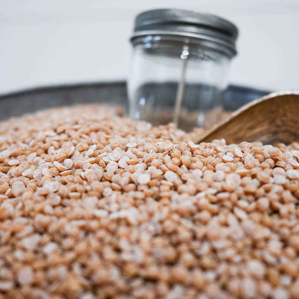 5.5oz Wicked Jar & Lid - A La Carte Candle Bar